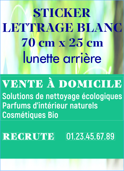 STICKER LETTRAGE TEXTE BLANC POUR LUNETTE ARRIERE